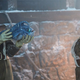 Illustration for article titled This Week's Doctor Who Was the Show at Its Very Best
